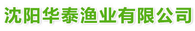 &#24320;&#20113;&#32593;&#39029;&#29256;