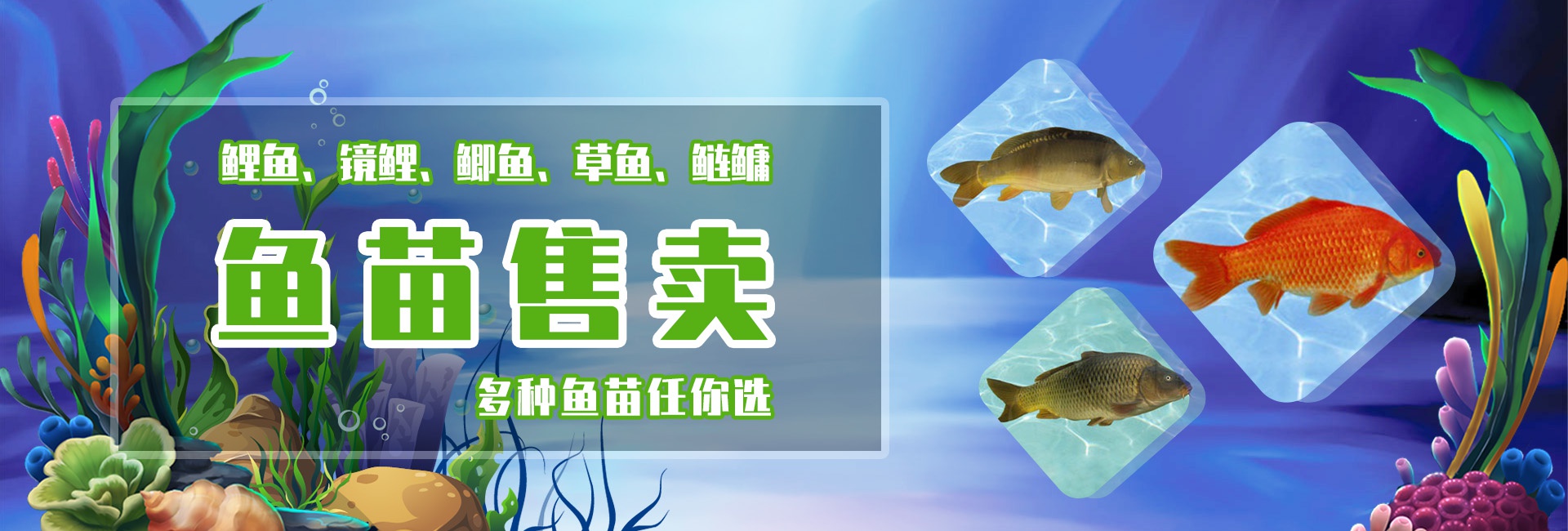 &#24320;&#20113;&#32593;&#39029;&#29256;