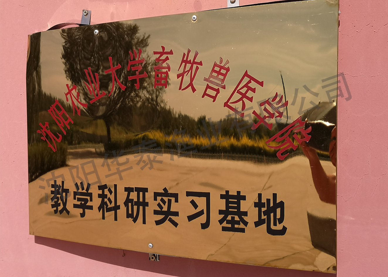 &#24320;&#20113;&#32593;&#39029;&#29256;